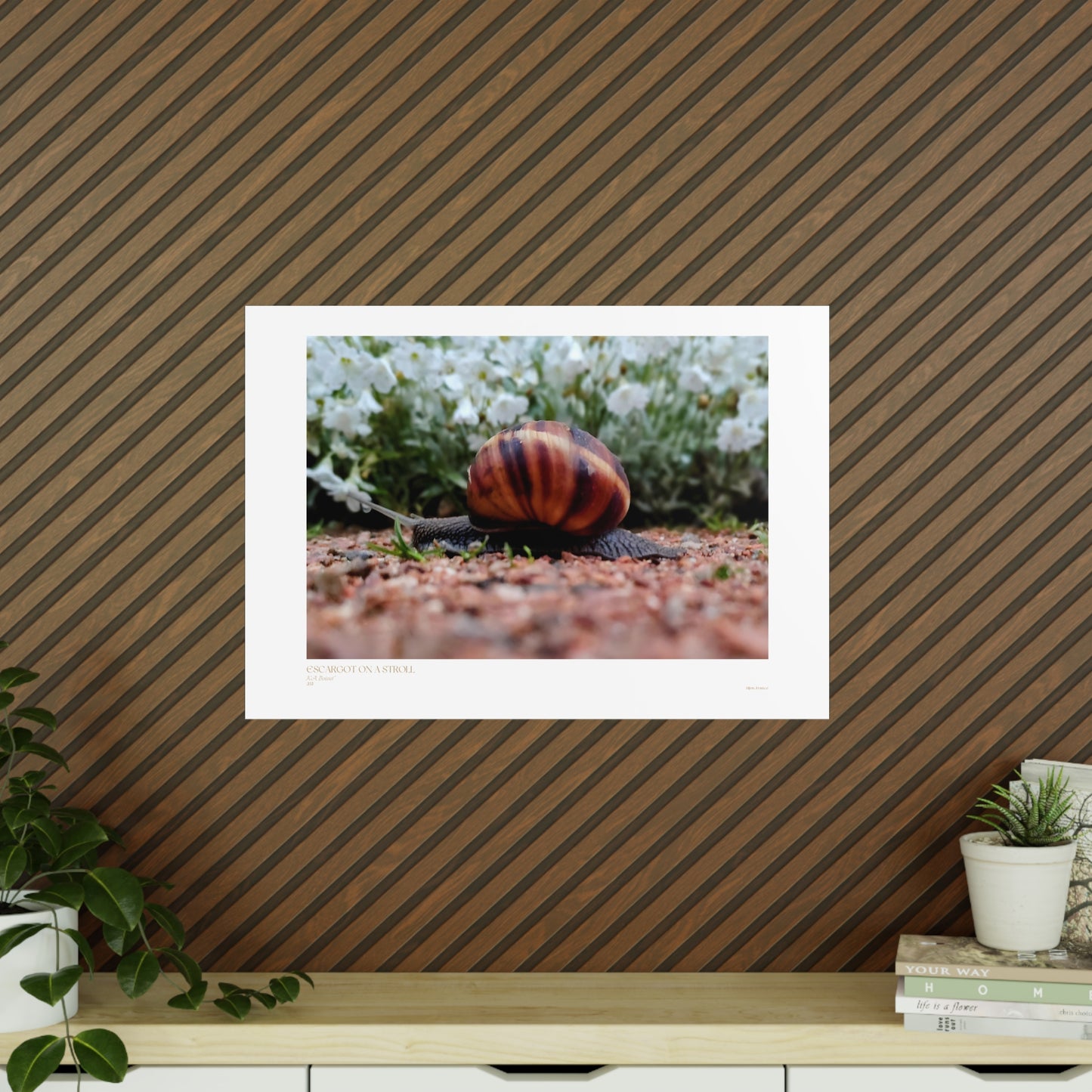 Escargot on a Stroll Matte Photograph Horizontal Posters EU