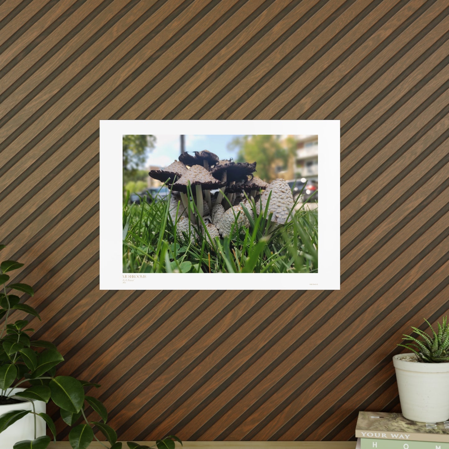 Mushrooms Matte Photograph Horizontal Posters EU