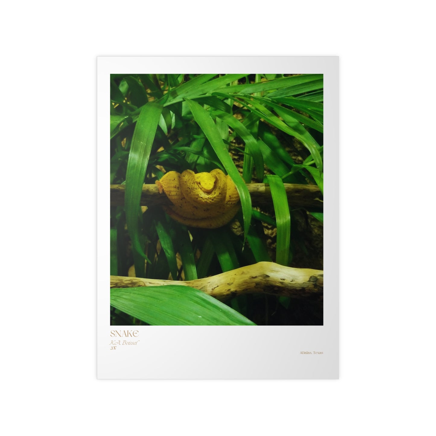 Snake Photograph Vertical Posters EU