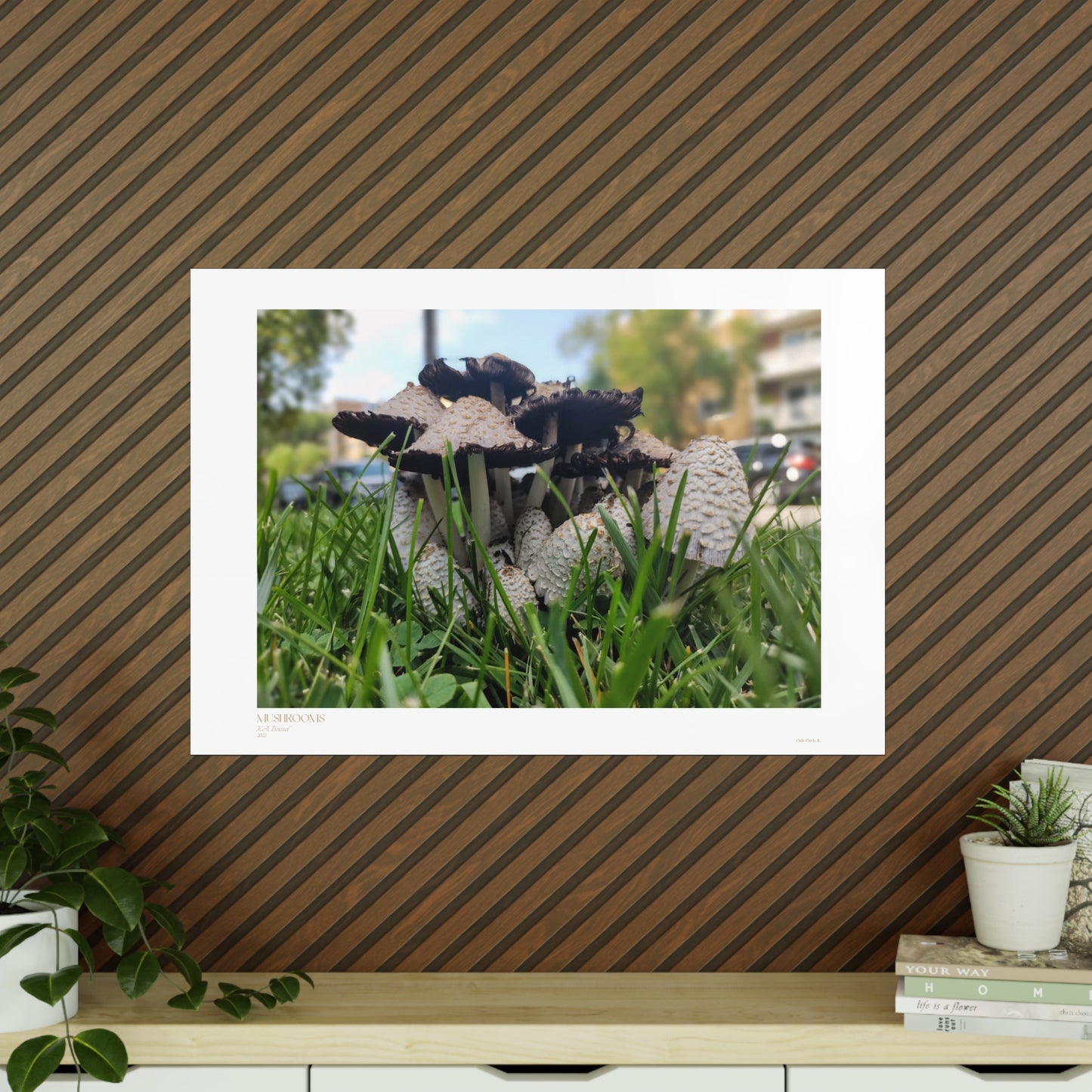 Mushrooms Matte Photograph Horizontal Posters EU