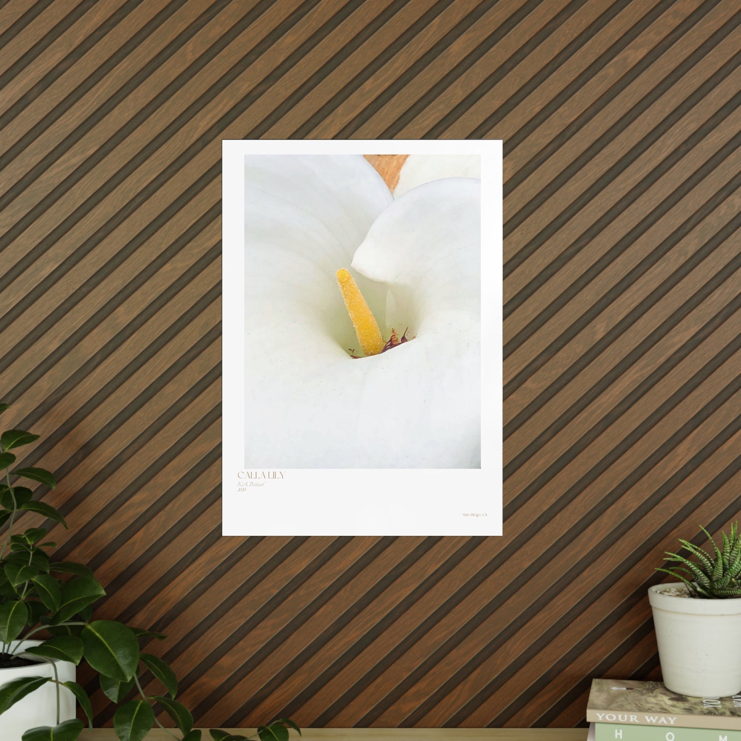 Calla Lily Photograph Vertical Posters EU