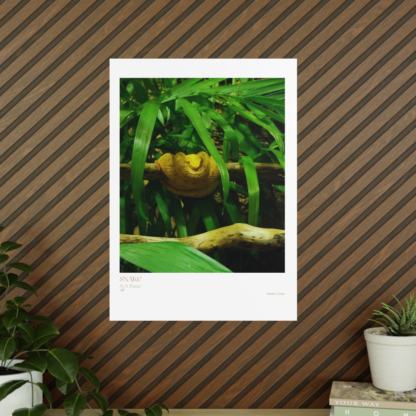 Snake Photograph Vertical Posters EU