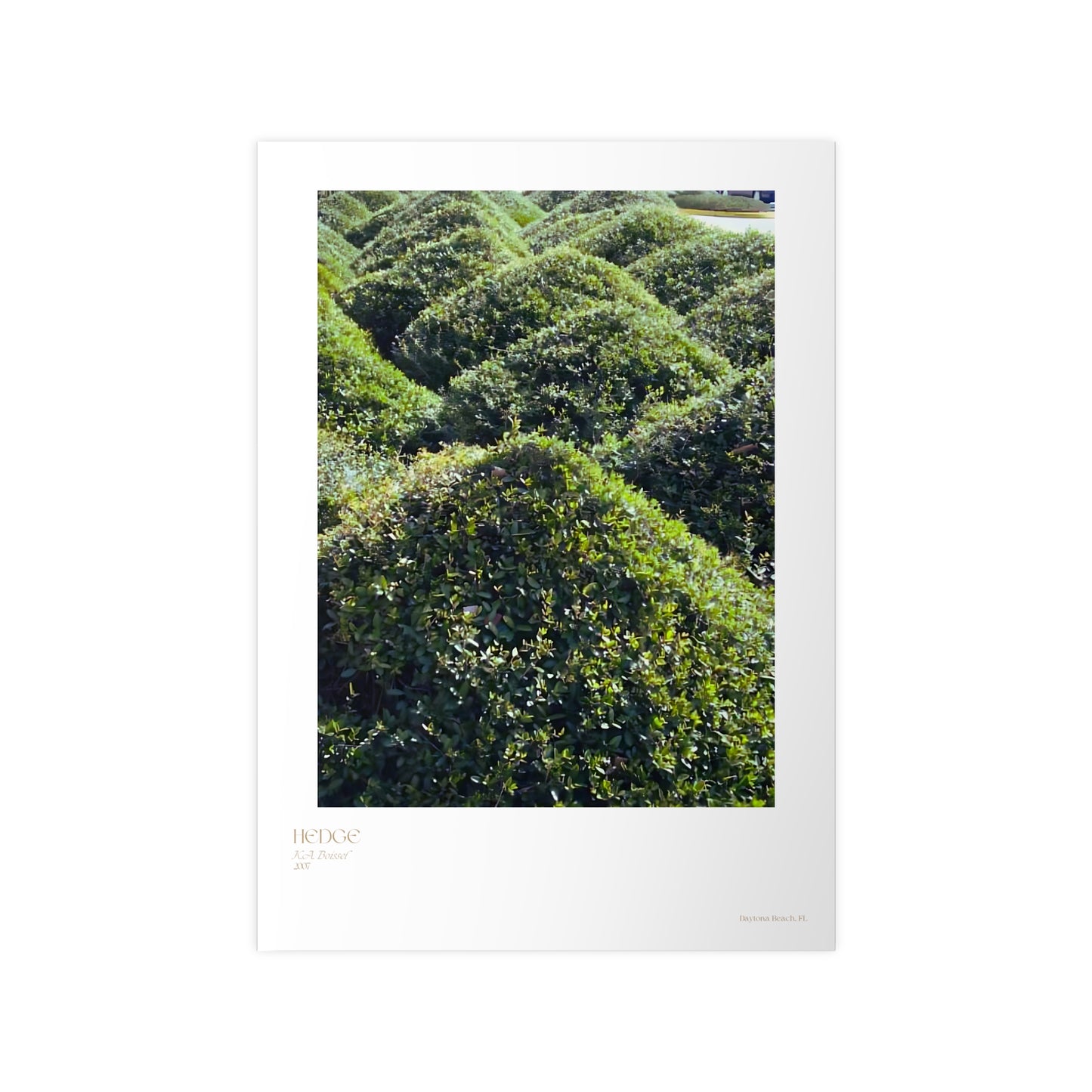 Hedge Photograph Vertical Posters EU