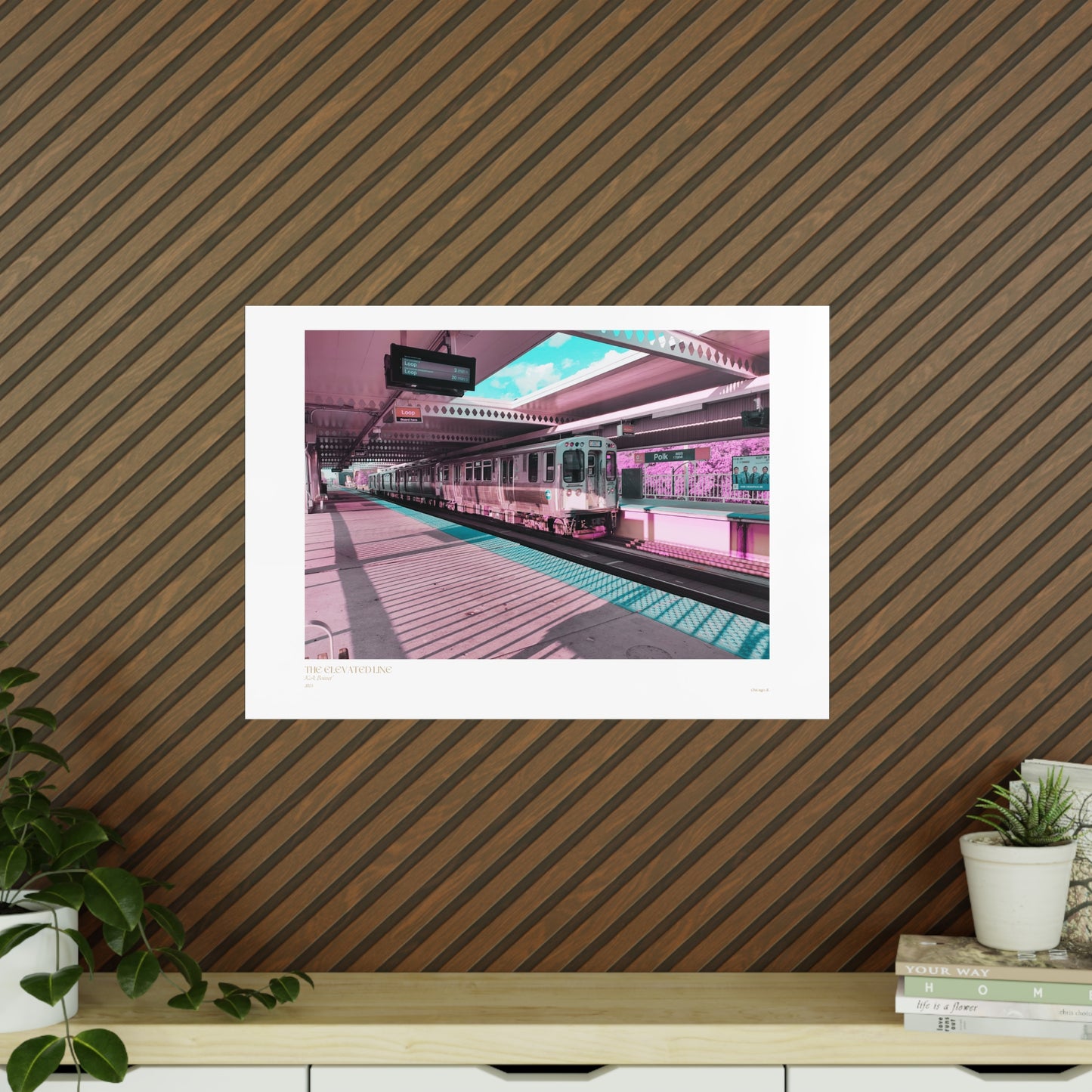 The Elevated Line Matte Photograph Horizontal Posters EU