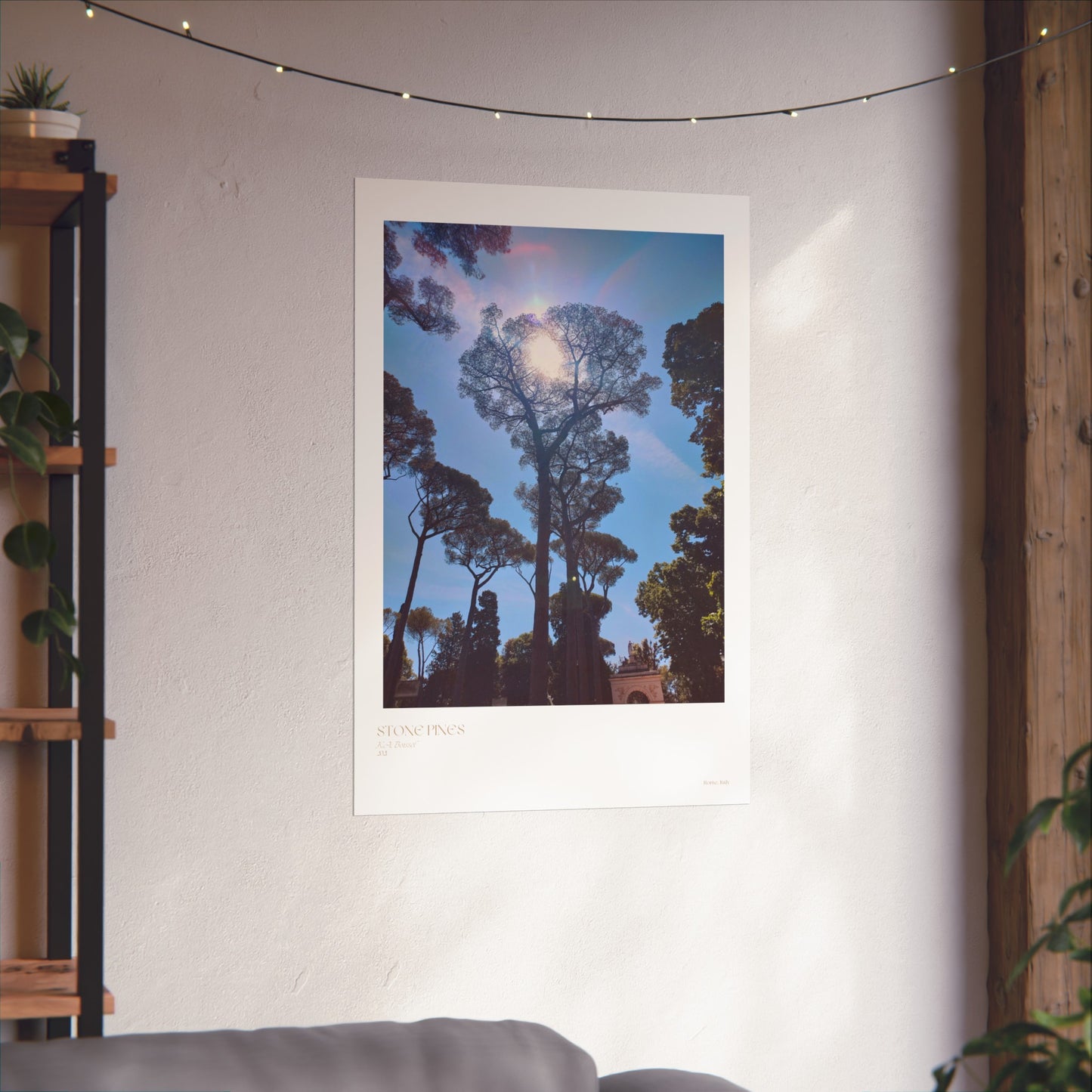 Carteles verticales con fotografías de pinos de piedra en Roma, Italia