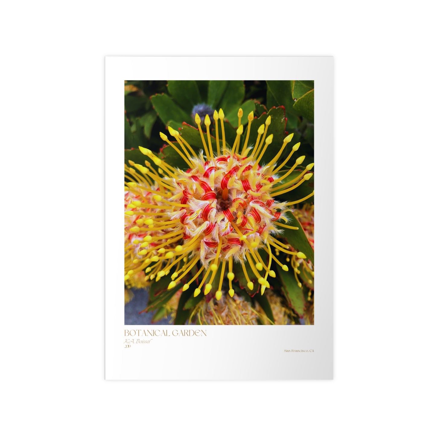 Botanical Garden Photograph Vertical Posters EU