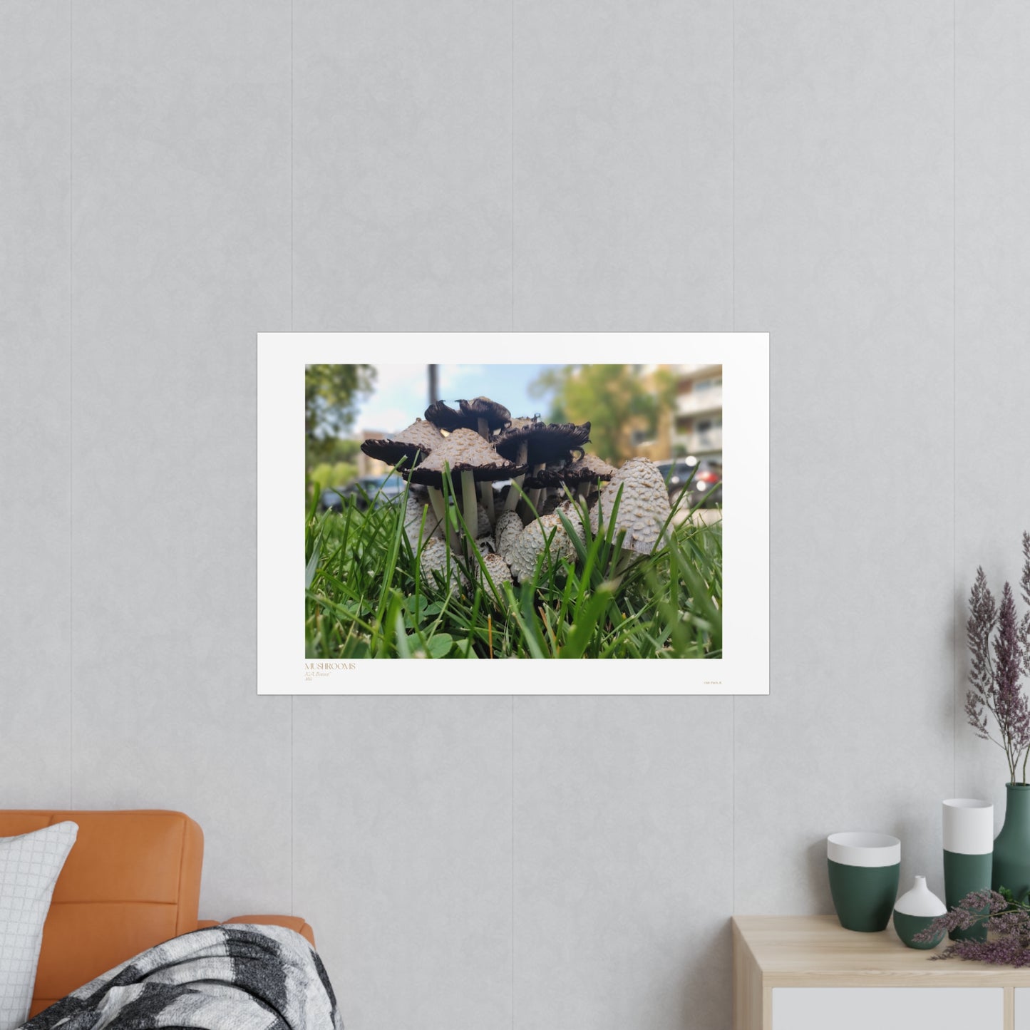 Mushrooms Matte Photograph Horizontal Posters EU