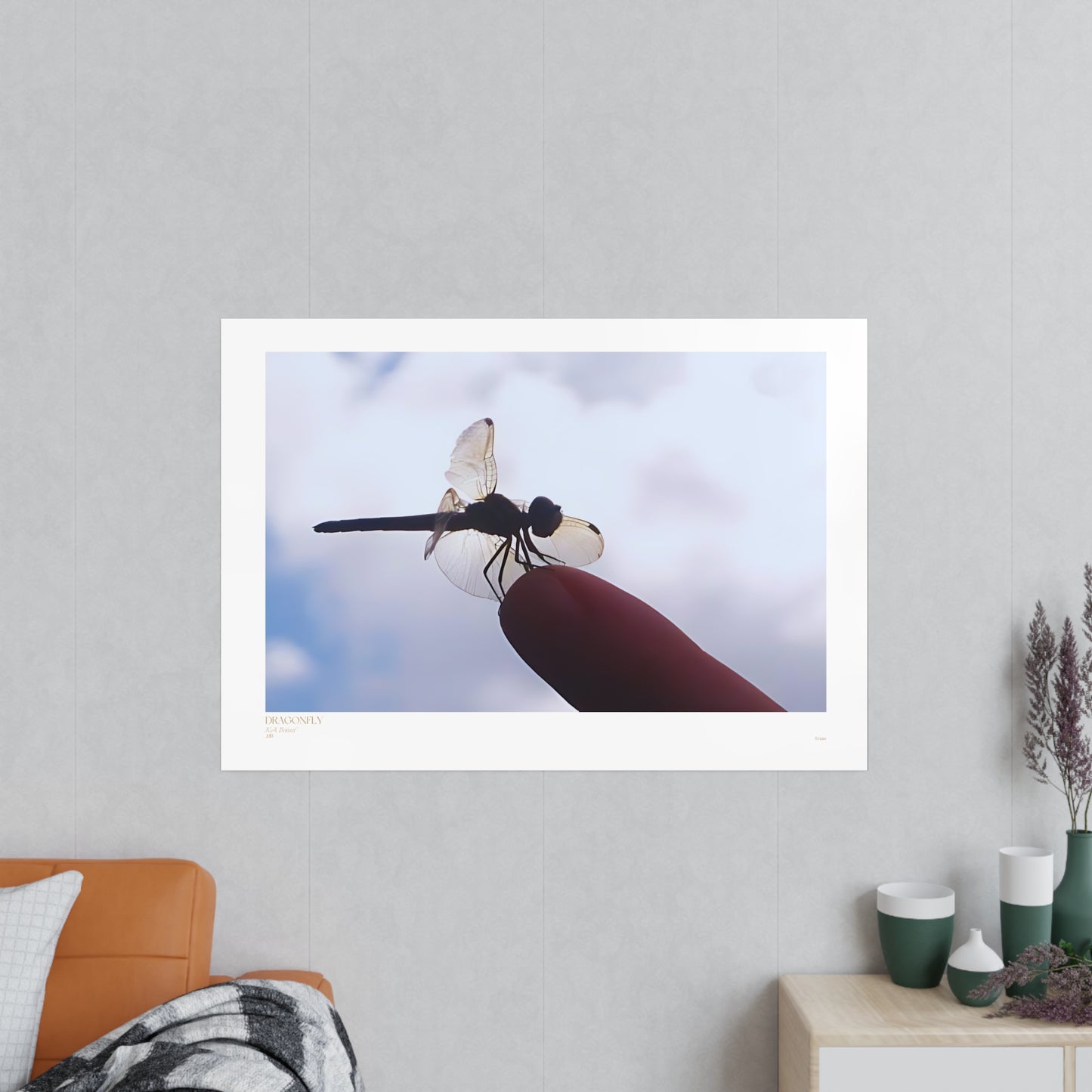 Dragonfly Matte Photograph Horizontal Posters EU