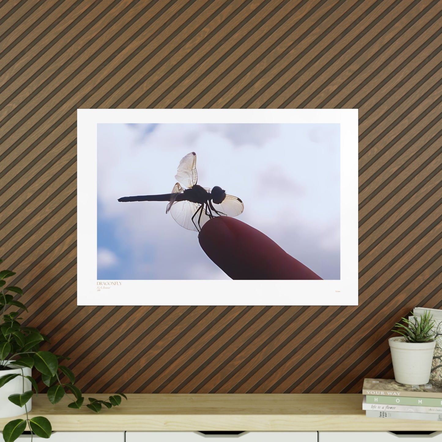 Dragonfly Matte Photograph Horizontal Posters EU