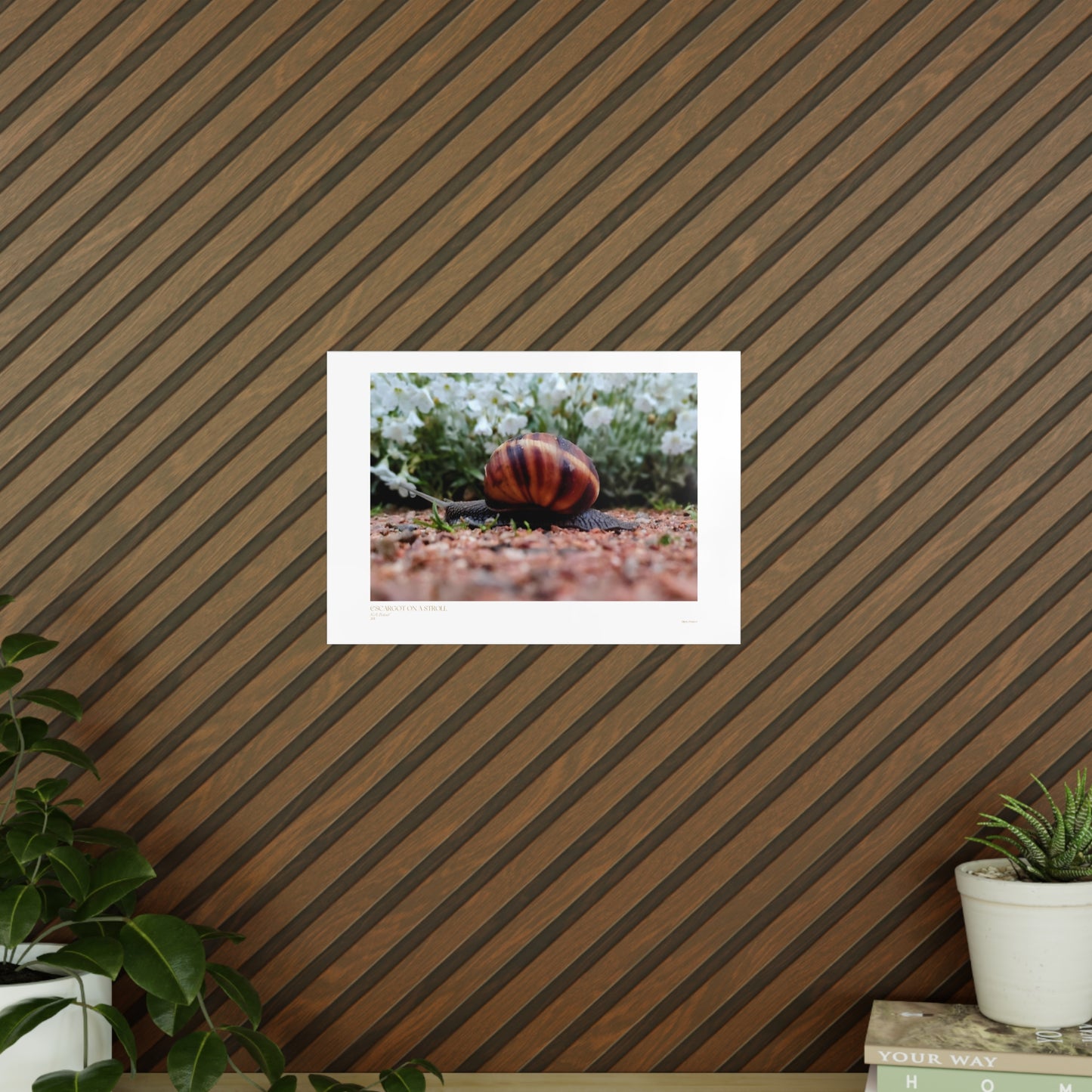 Escargot on a Stroll Matte Photograph Horizontal Posters EU