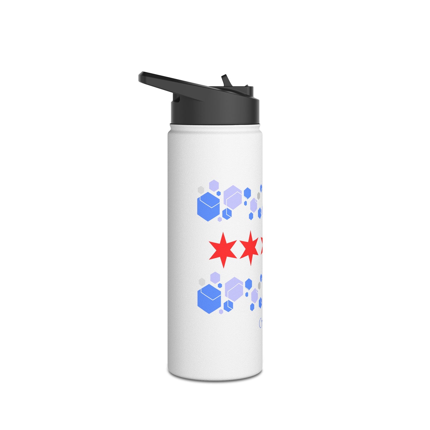 Modern Chicago Stainless Steel Water Bottle, Standard Lid