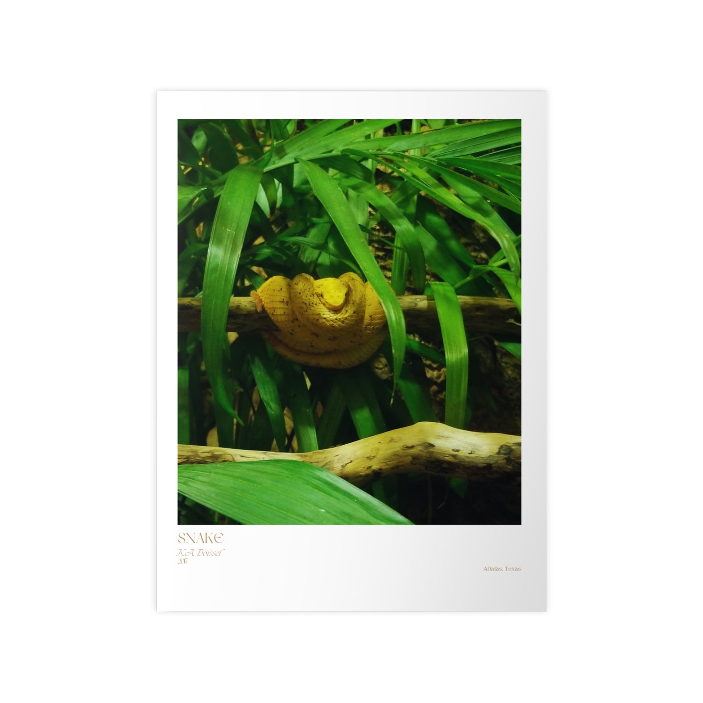 Snake Photograph Vertical Posters EU