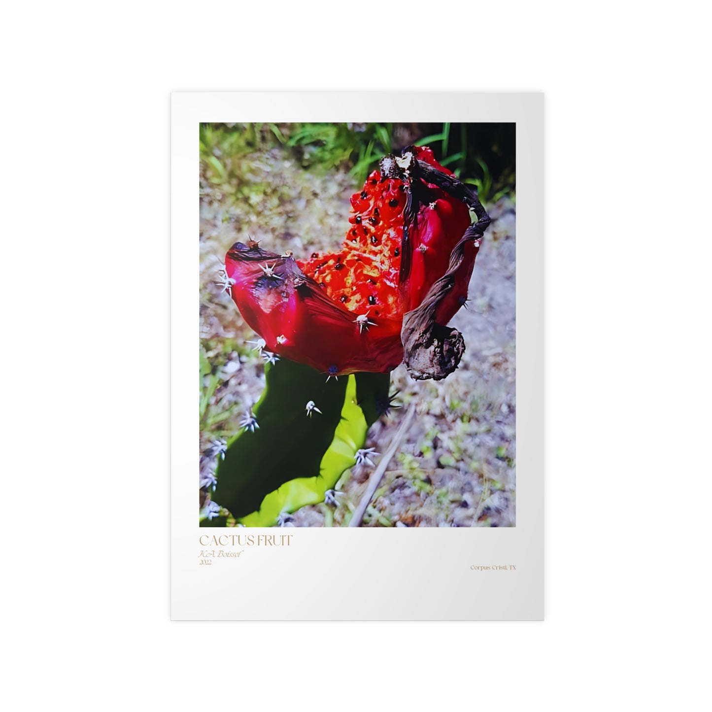 Cactus Fruit Photograph Vertical Posters EU