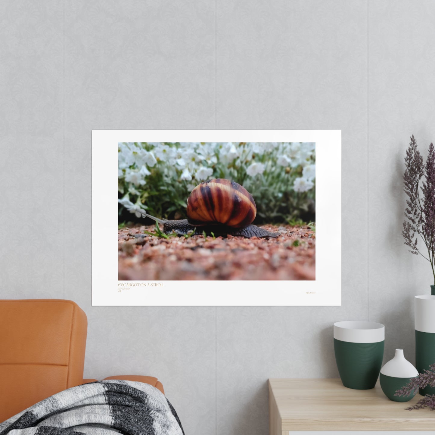 Escargot on a Stroll Matte Photograph Horizontal Posters EU