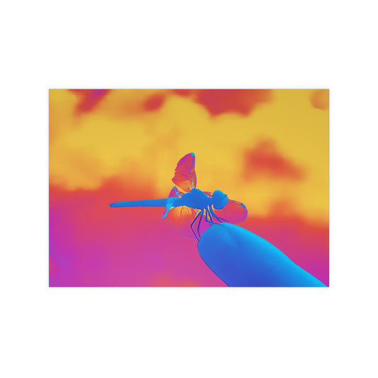 Dragonfly Tie Dye Matte Photograph Horizontal Posters