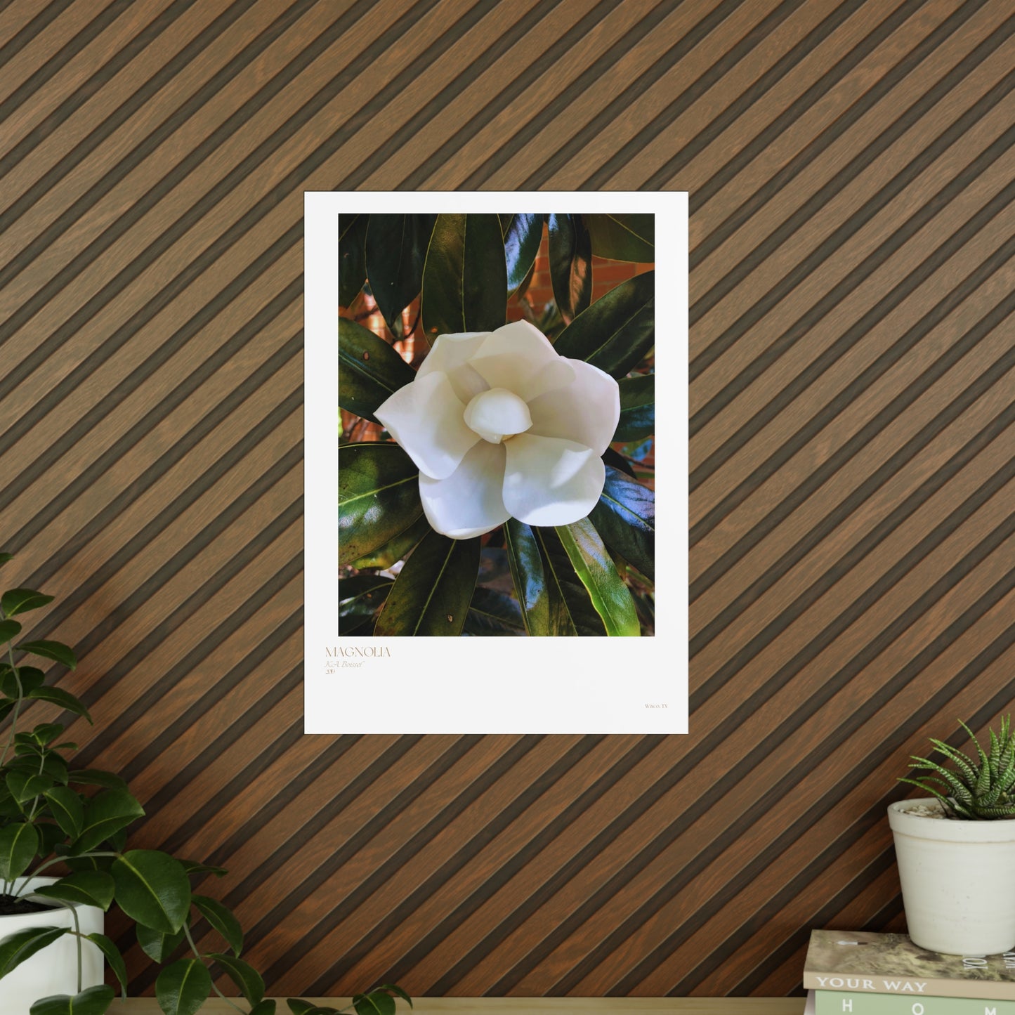 Magnolia Photograph Vertical Posters EU