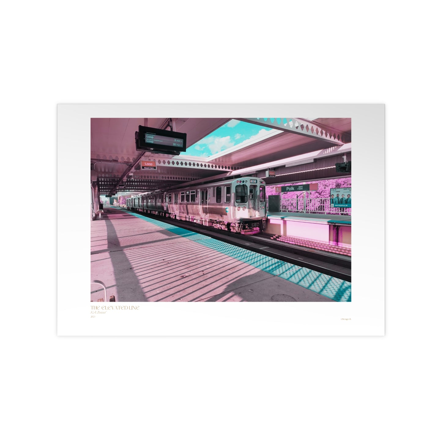 The Elevated Line Matte Photograph Horizontal Posters EU