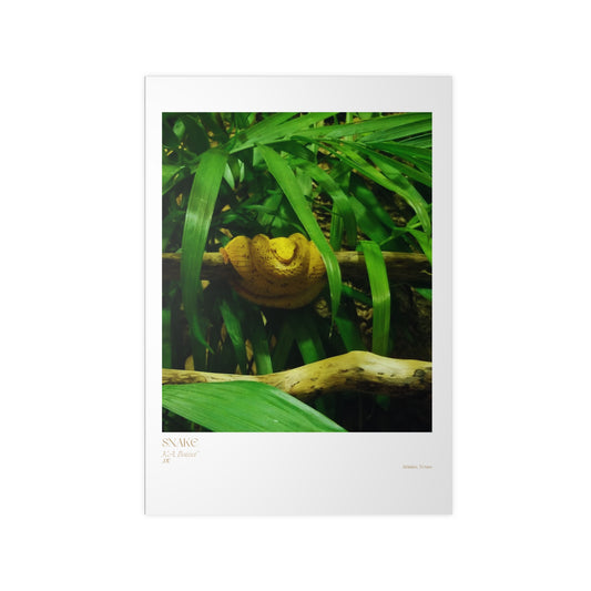 Snake Photograph Vertical Posters EU