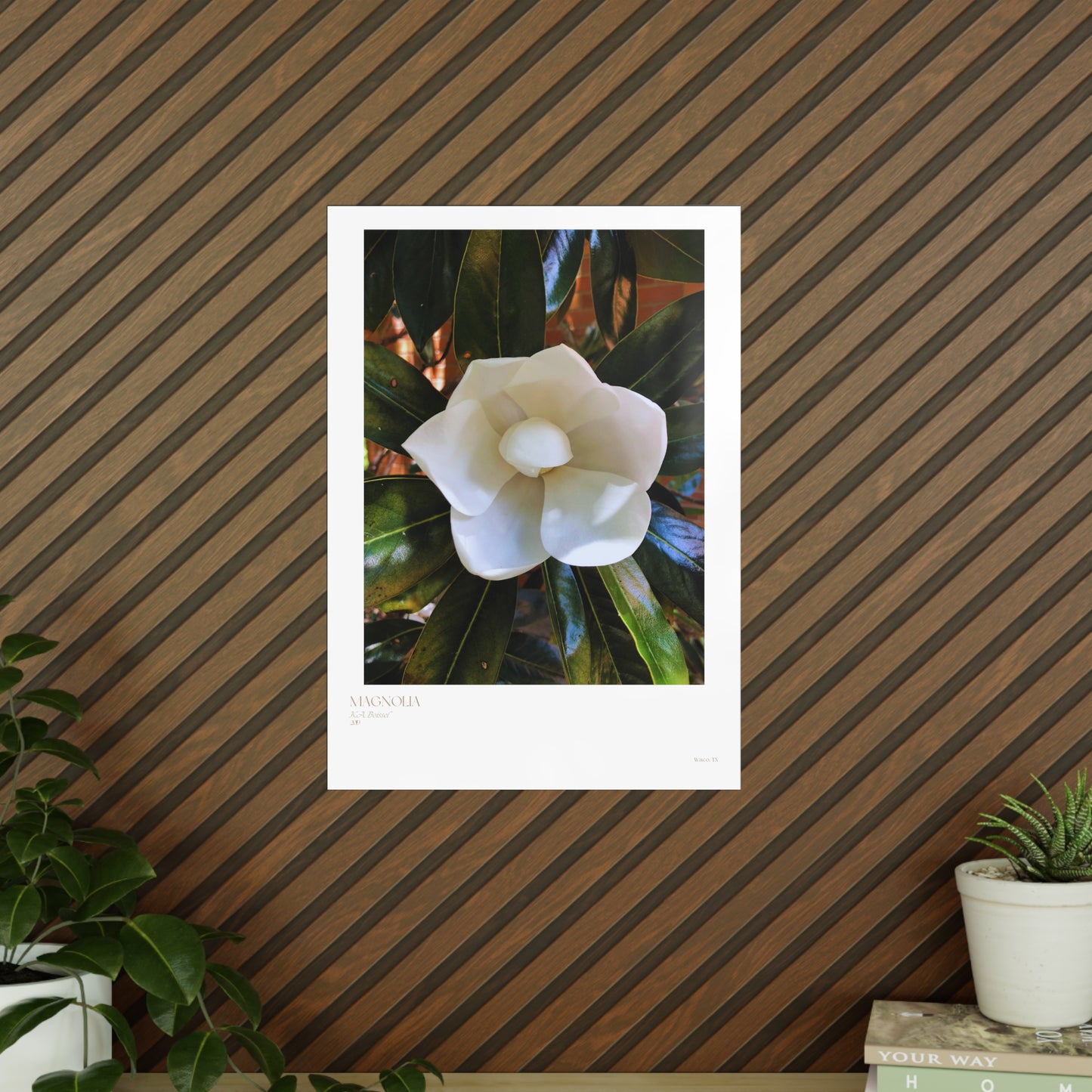 Magnolia Photograph Vertical Posters EU