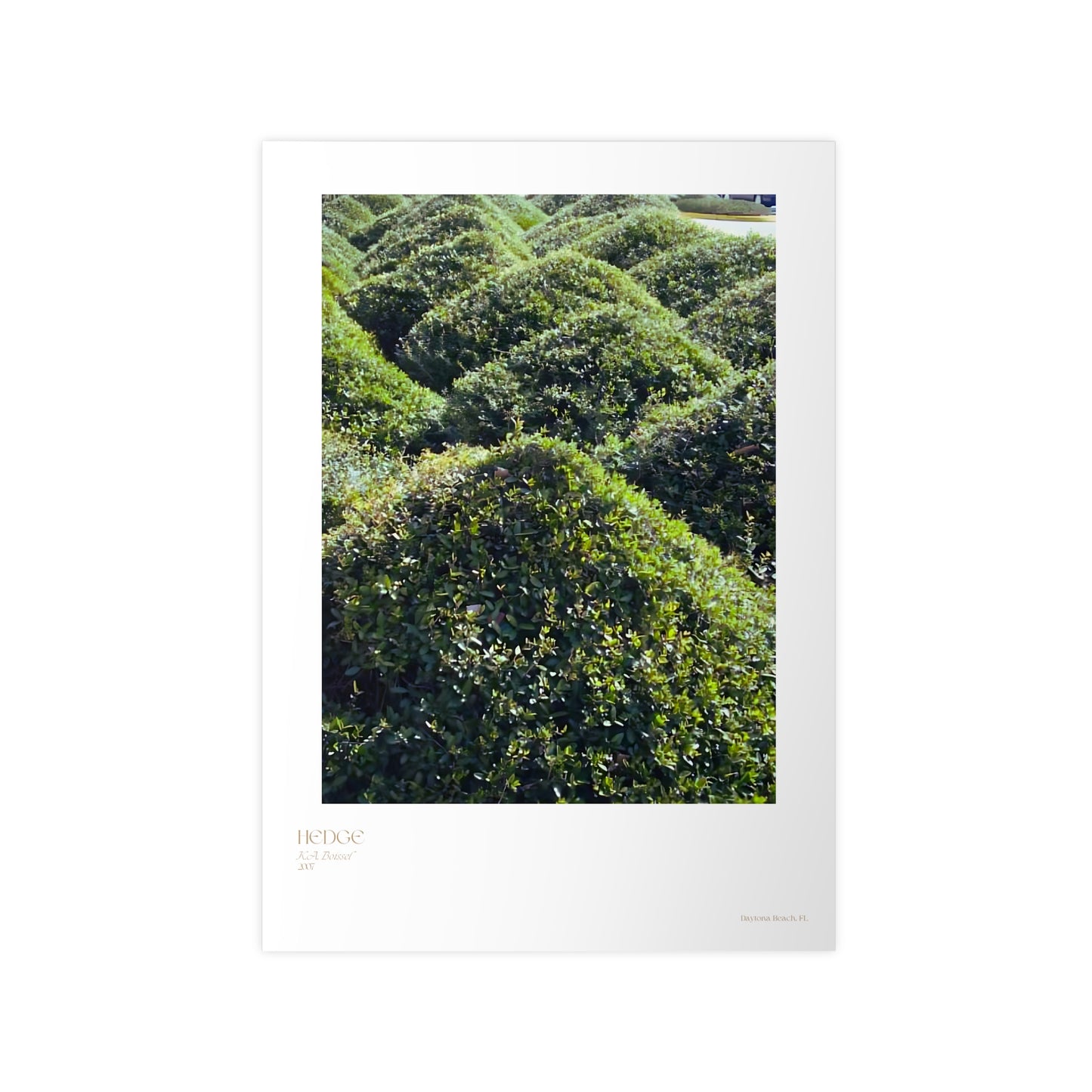 Hedge Photograph Vertical Posters EU