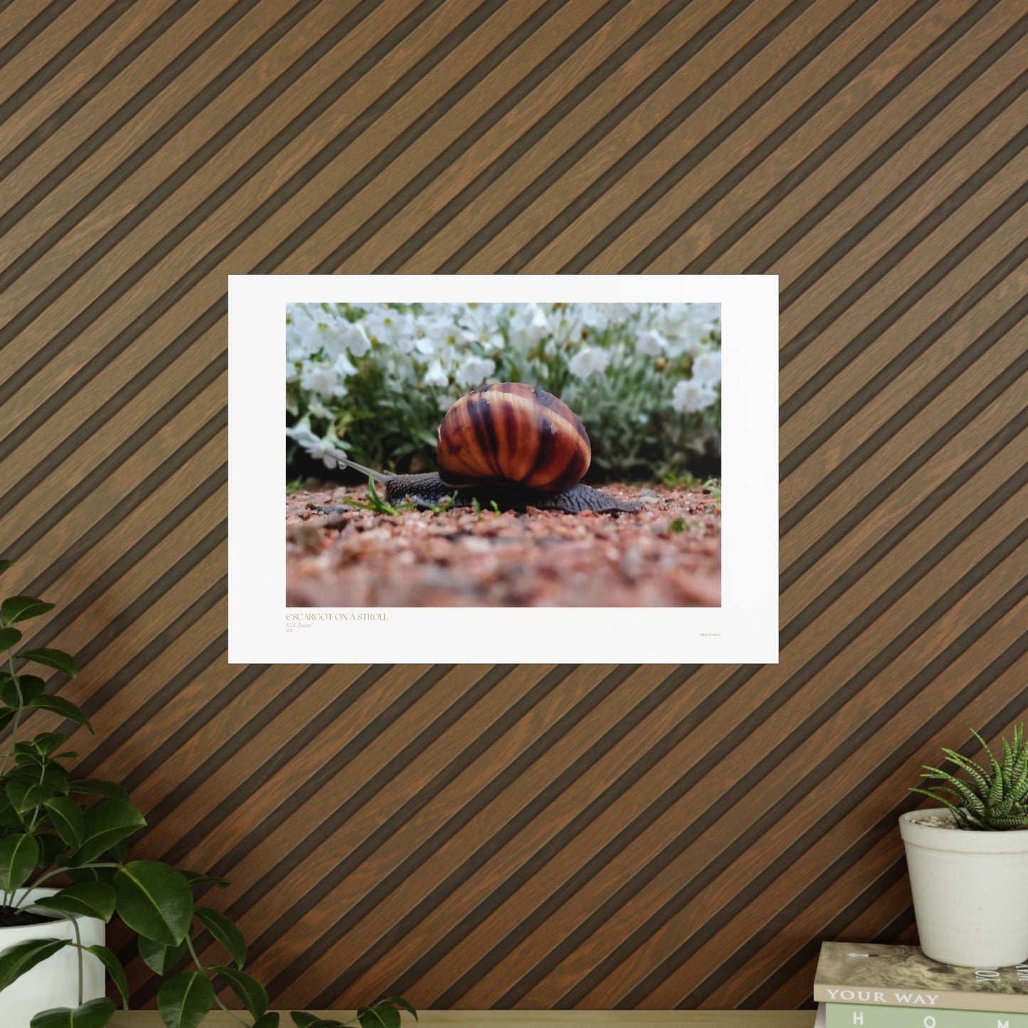 Escargot on a Stroll Matte Photograph Horizontal Posters EU