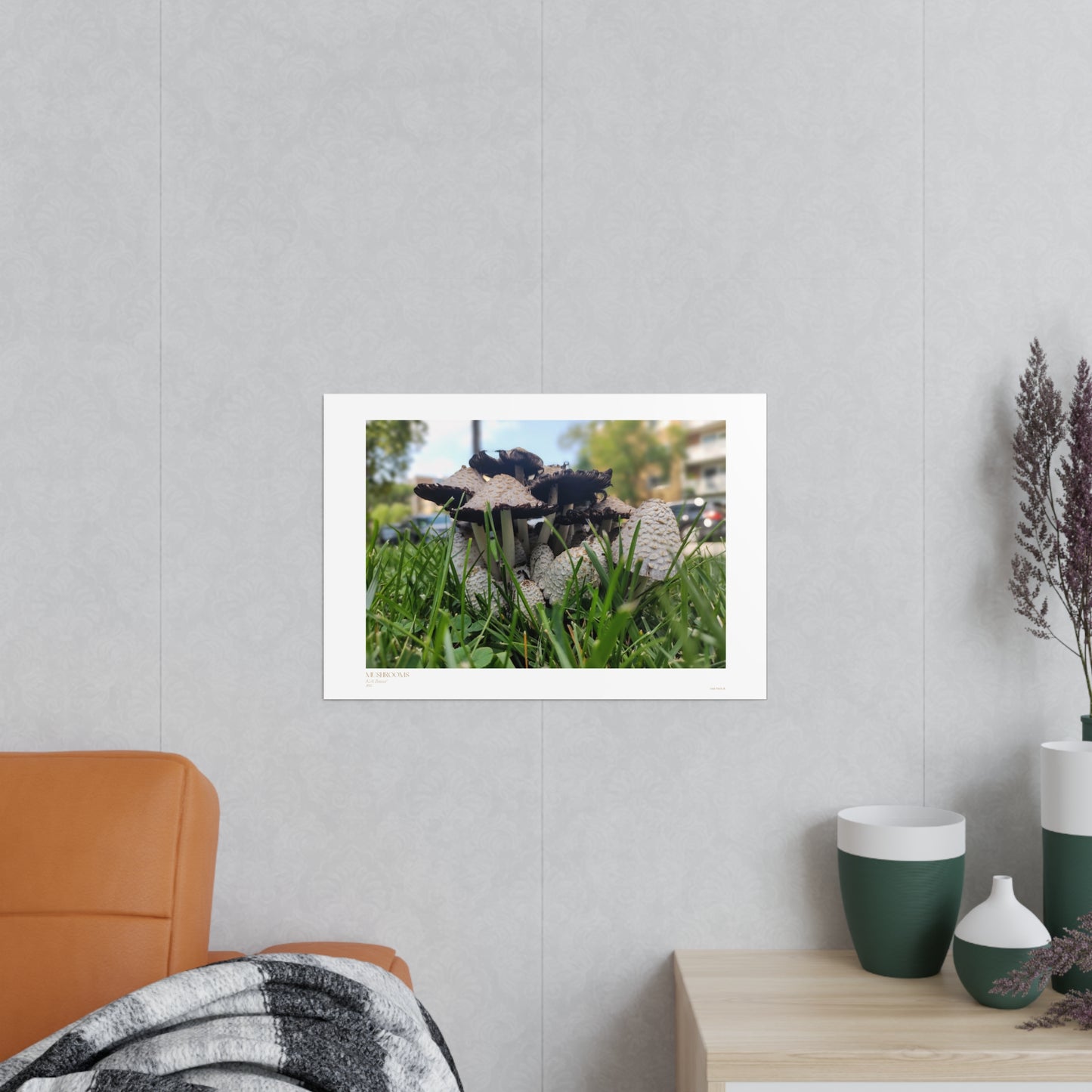 Mushrooms Matte Photograph Horizontal Posters EU