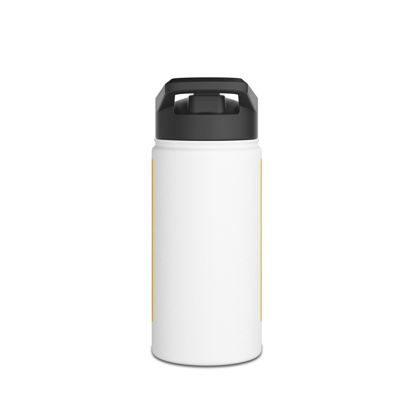 Modern New Mexico Stainless Steel Water Bottle, Standard Lid