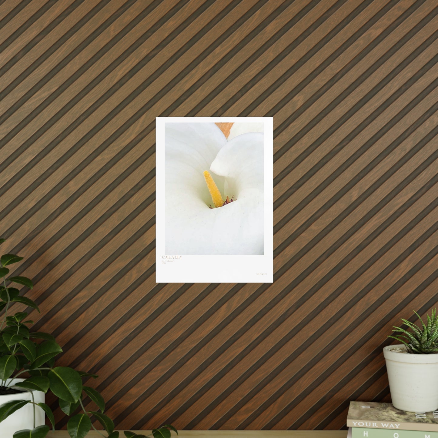 Calla Lily Photograph Vertical Posters EU