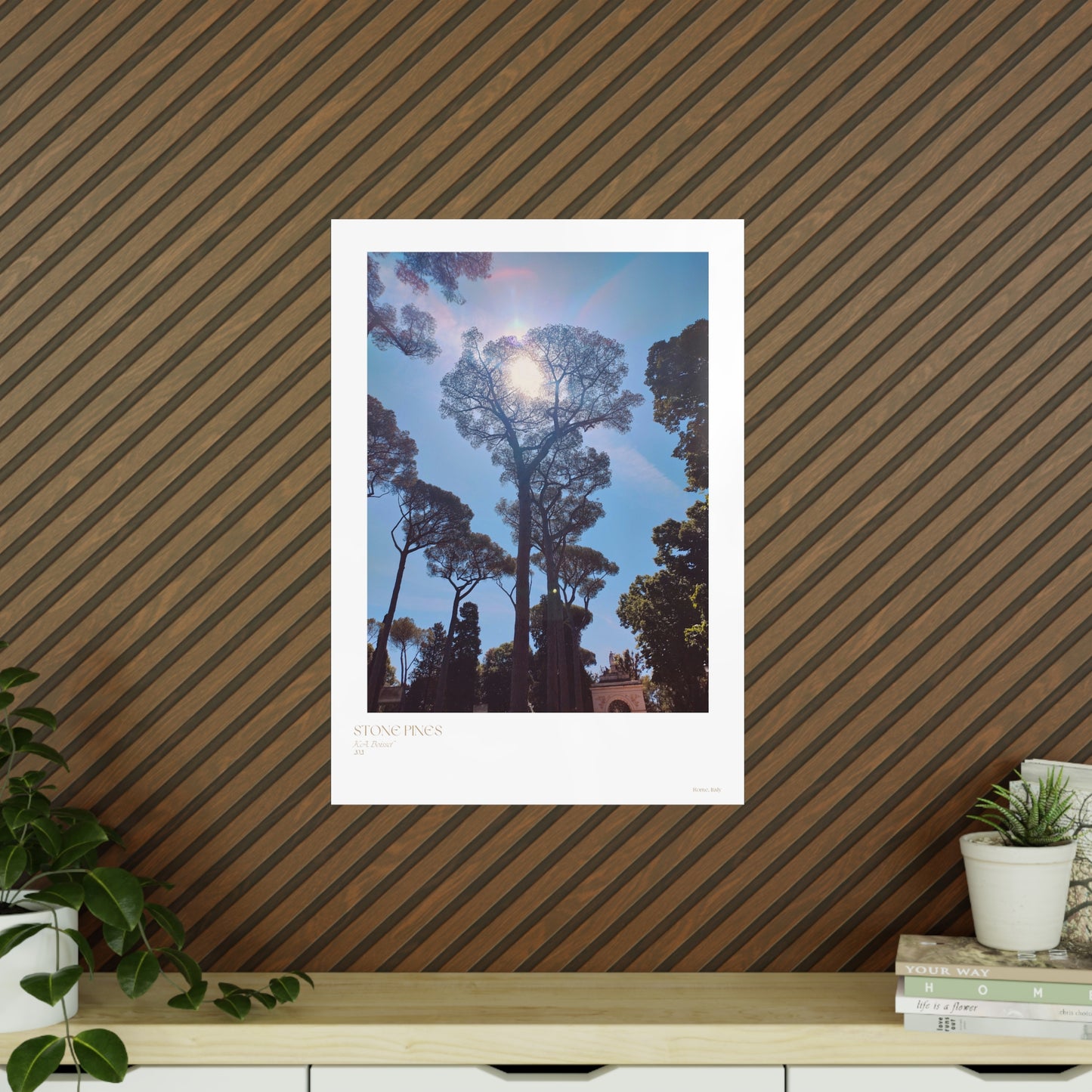 Stone Pines Rome, Italy Photograph Vertical Posters EU