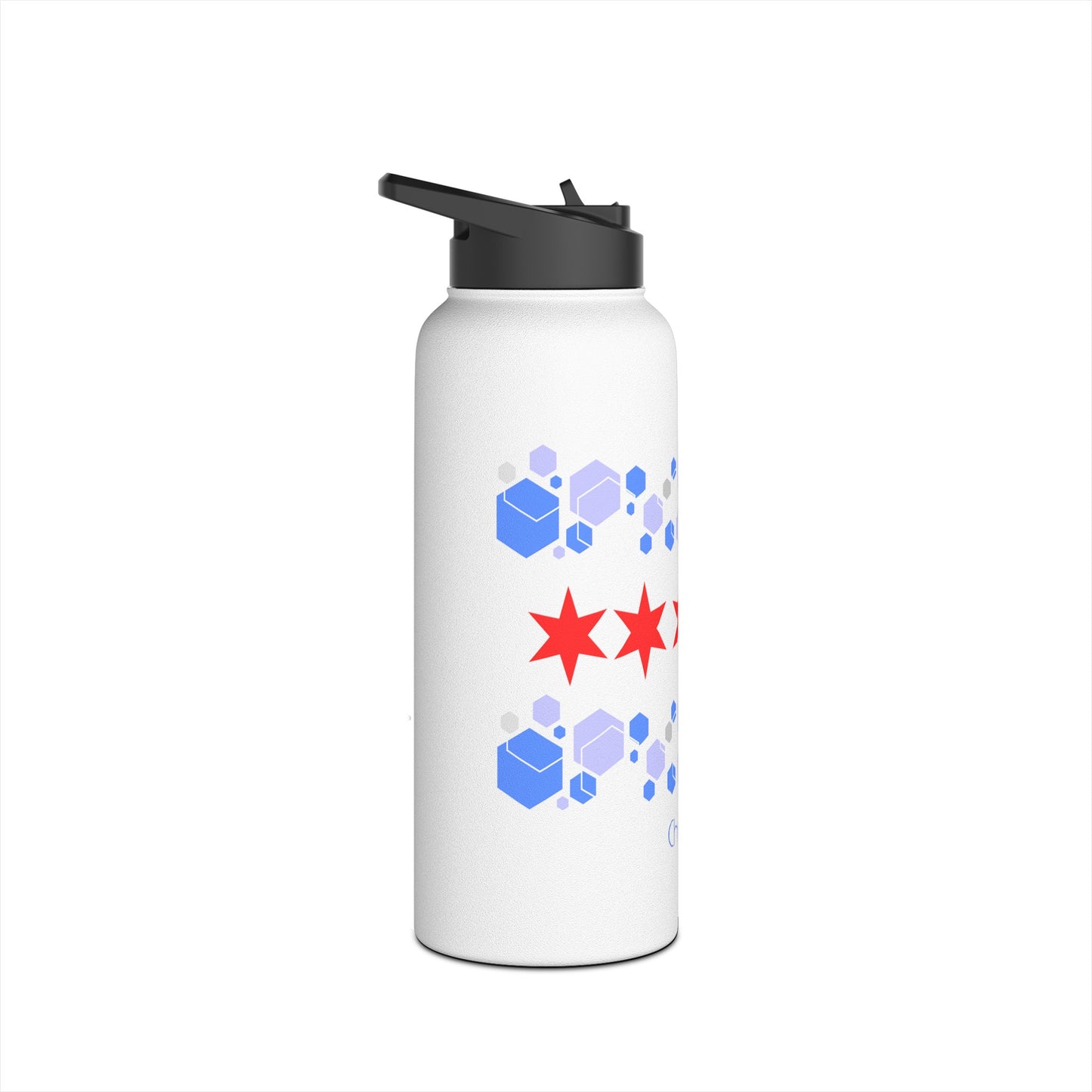 Modern Chicago Stainless Steel Water Bottle, Standard Lid