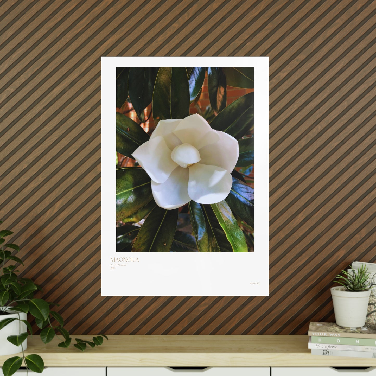 Magnolia Photograph Vertical Posters EU