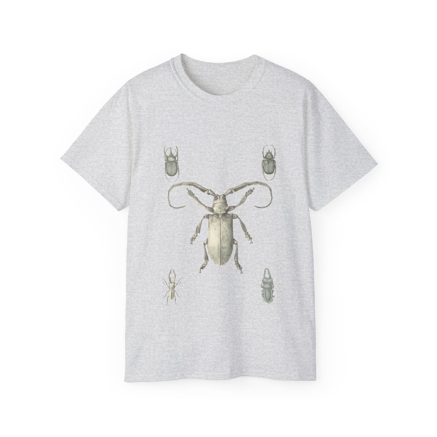 Beetle Illustration Ultra Cotton Tee