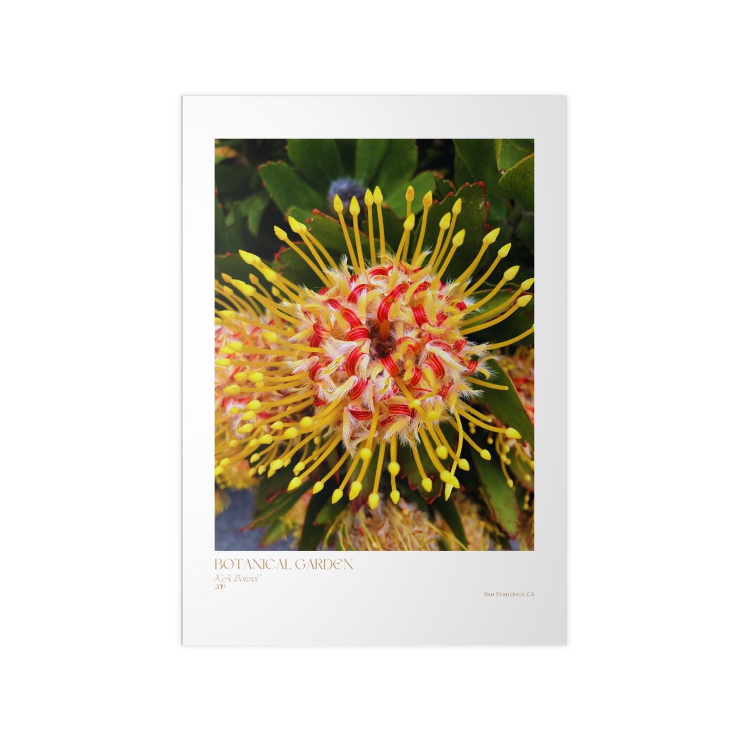 Botanical Garden Photograph Vertical Posters EU