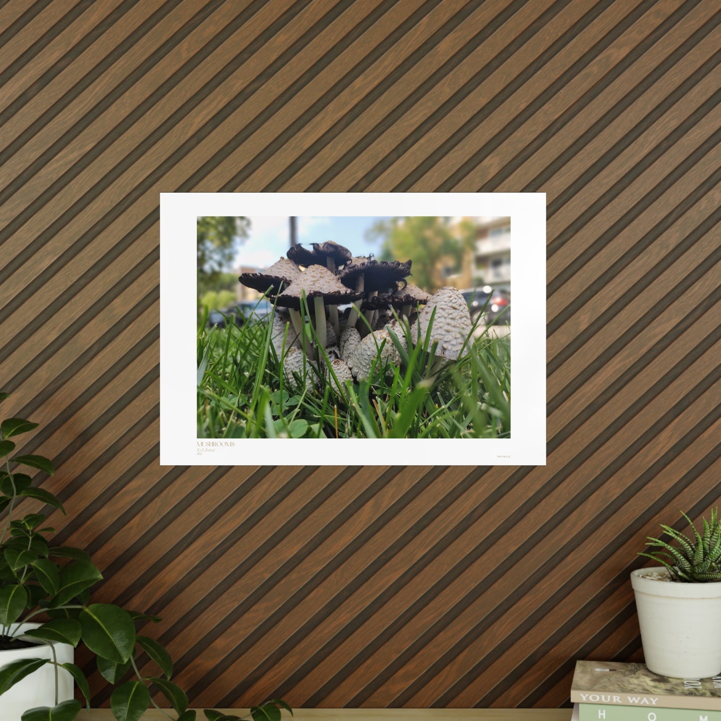 Mushrooms Matte Photograph Horizontal Posters EU