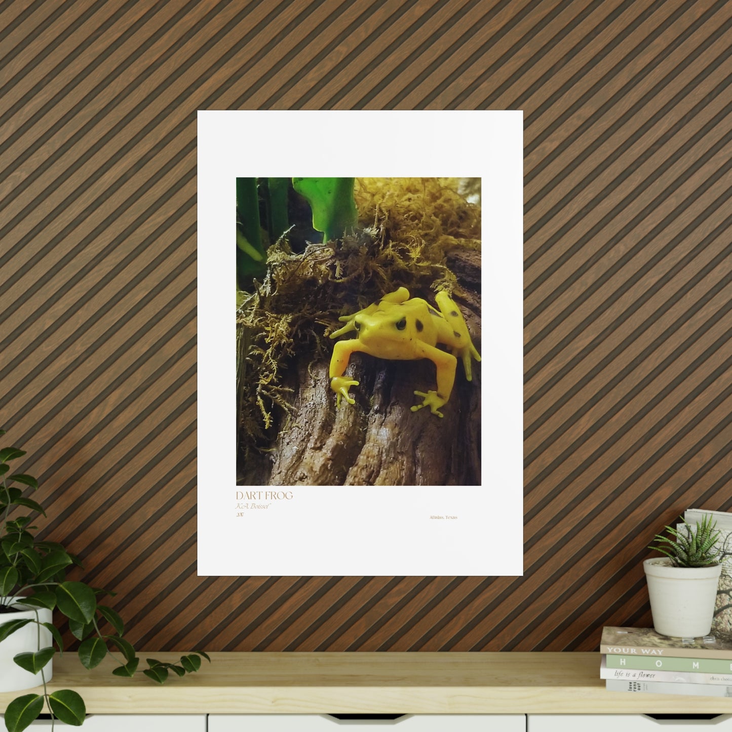 Dart Frog Photograph Vertical Posters EU