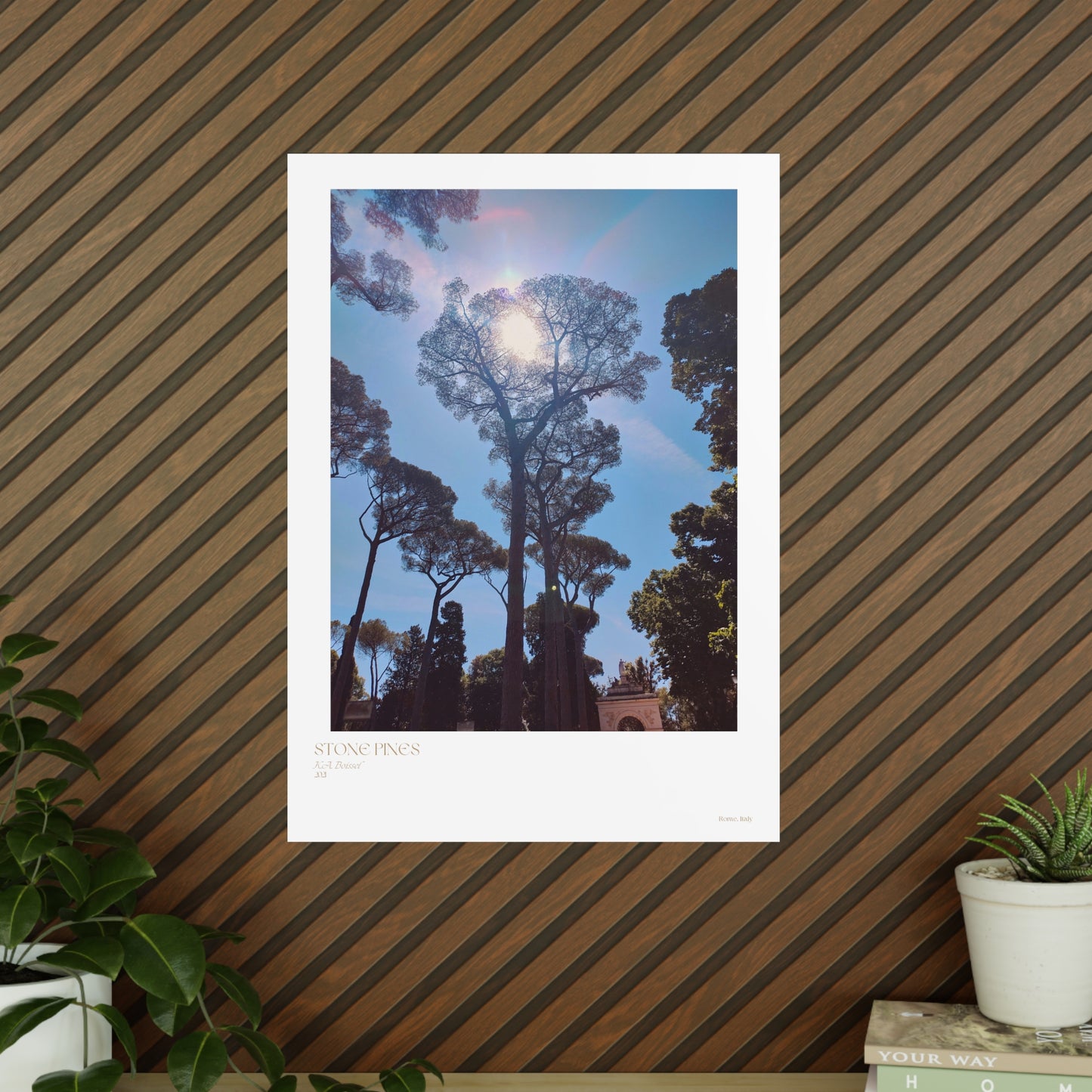 Stone Pines Rome, Italy Photograph Vertical Posters EU