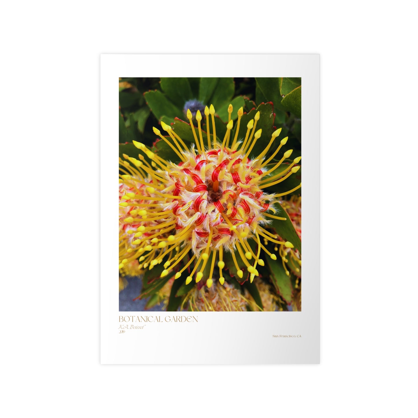 Botanical Garden Photograph Vertical Posters EU