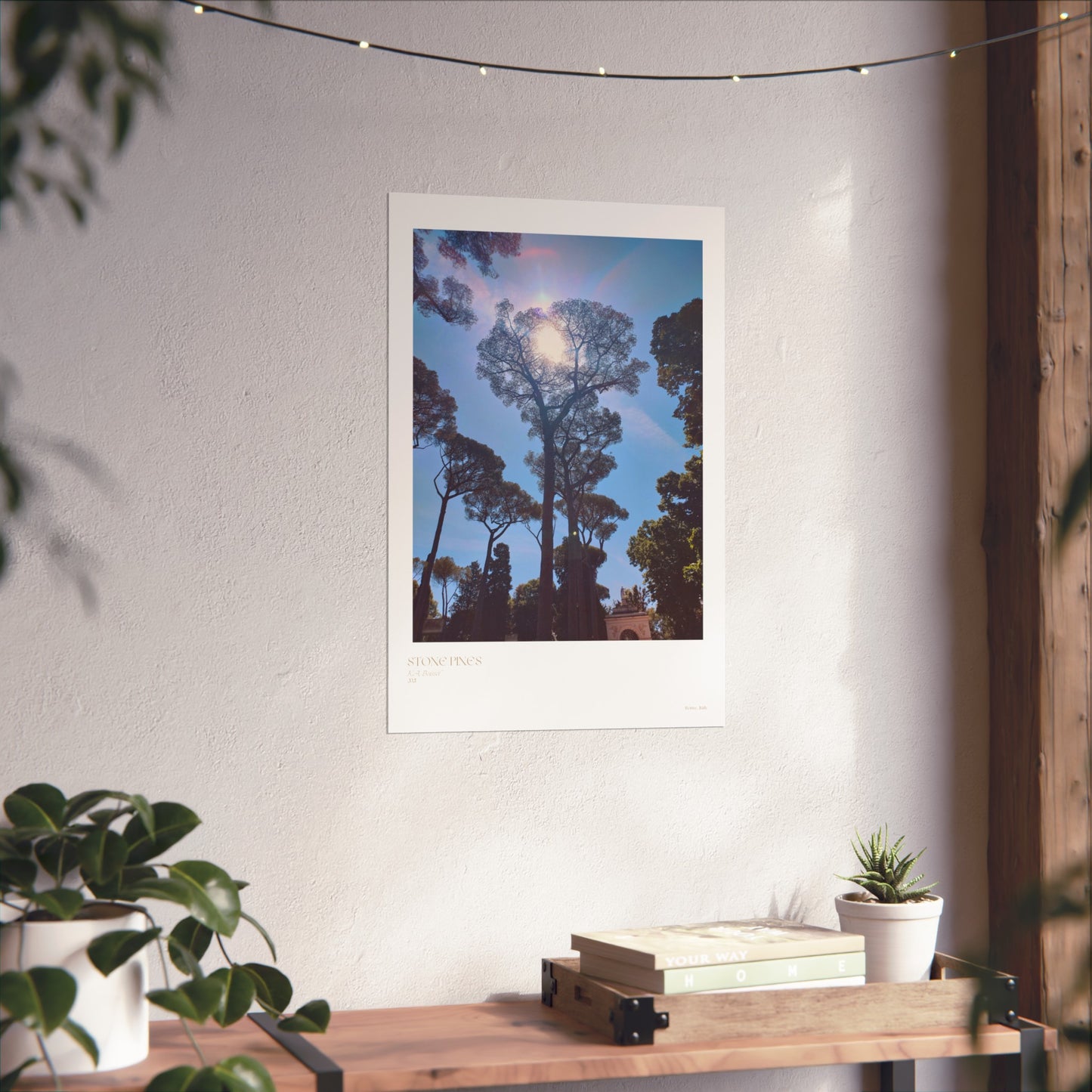 Carteles verticales con fotografías de pinos de piedra en Roma, Italia