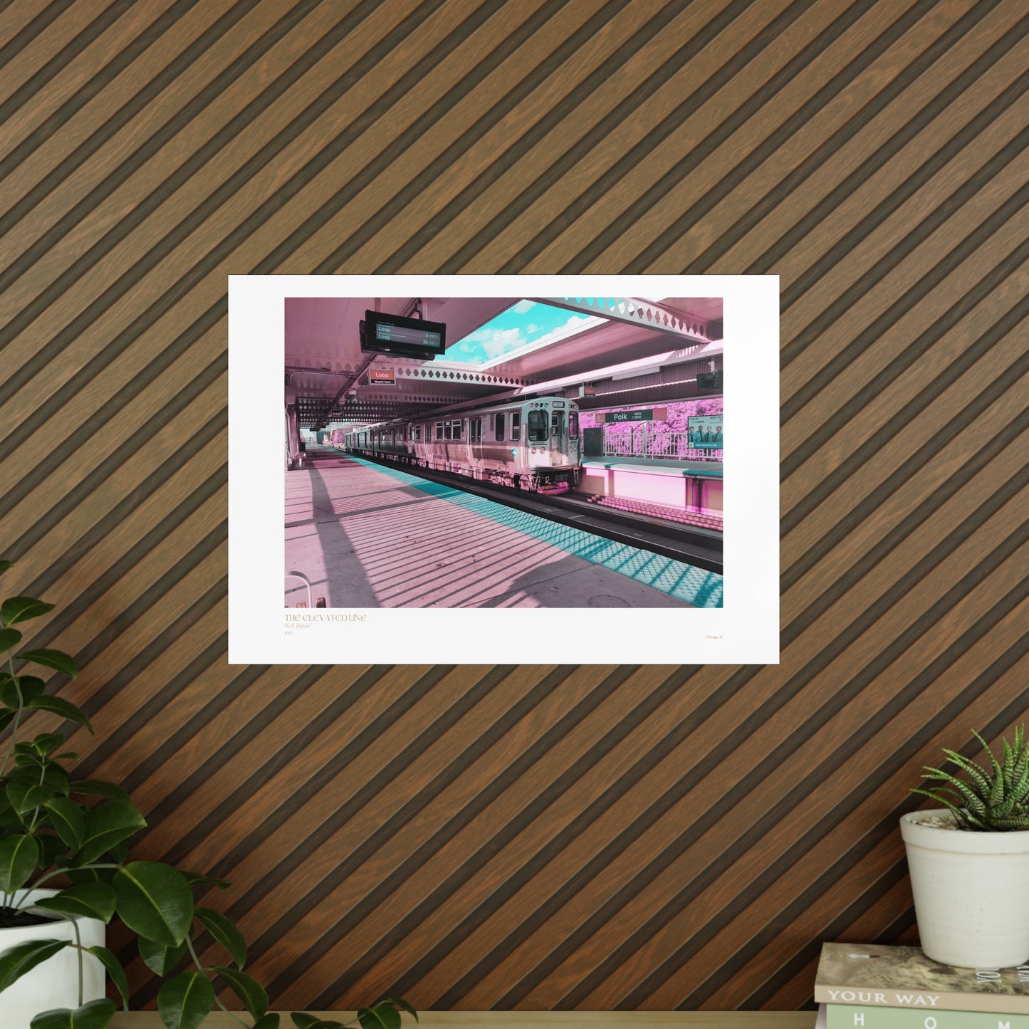 The Elevated Line Matte Photograph Horizontal Posters EU