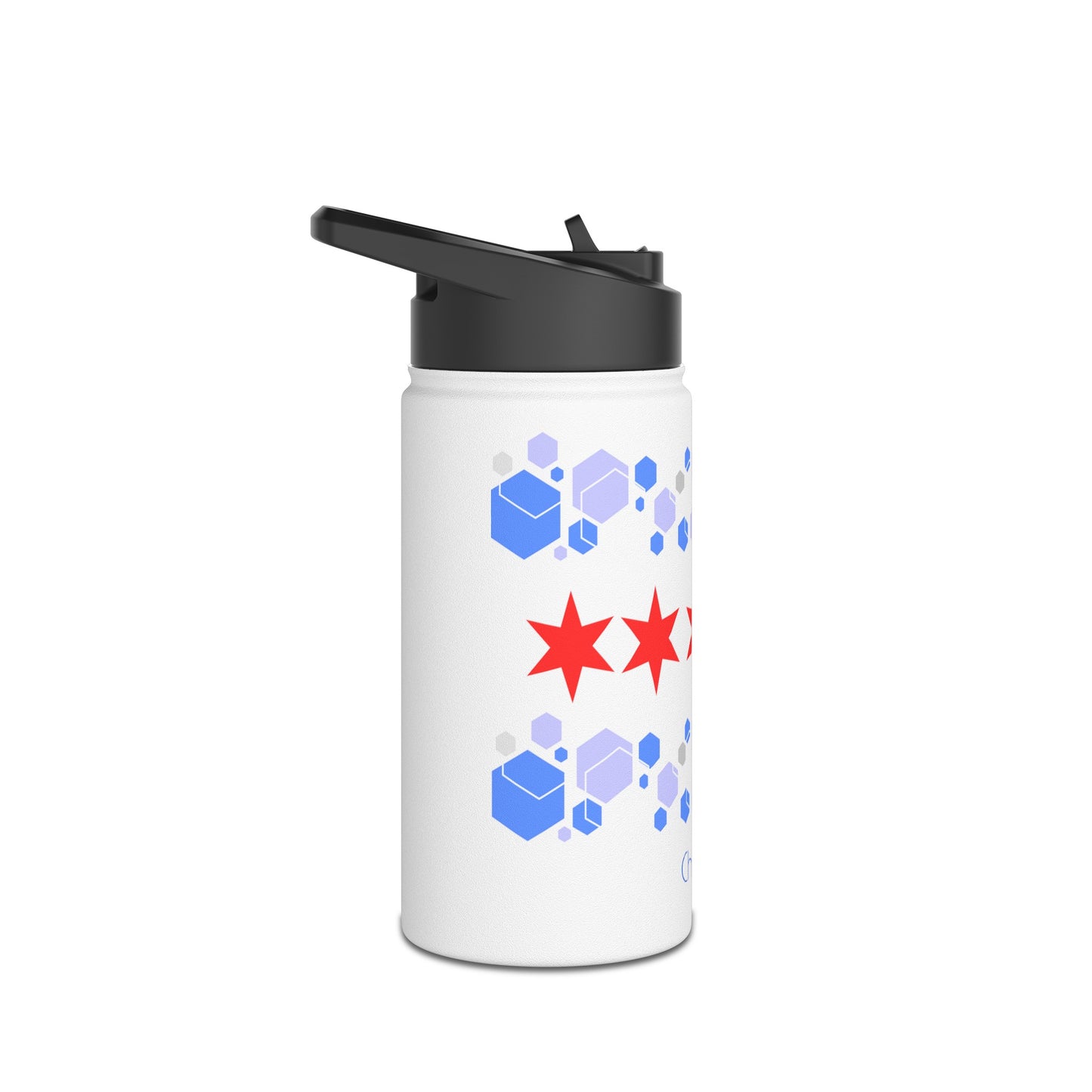 Modern Chicago Stainless Steel Water Bottle, Standard Lid