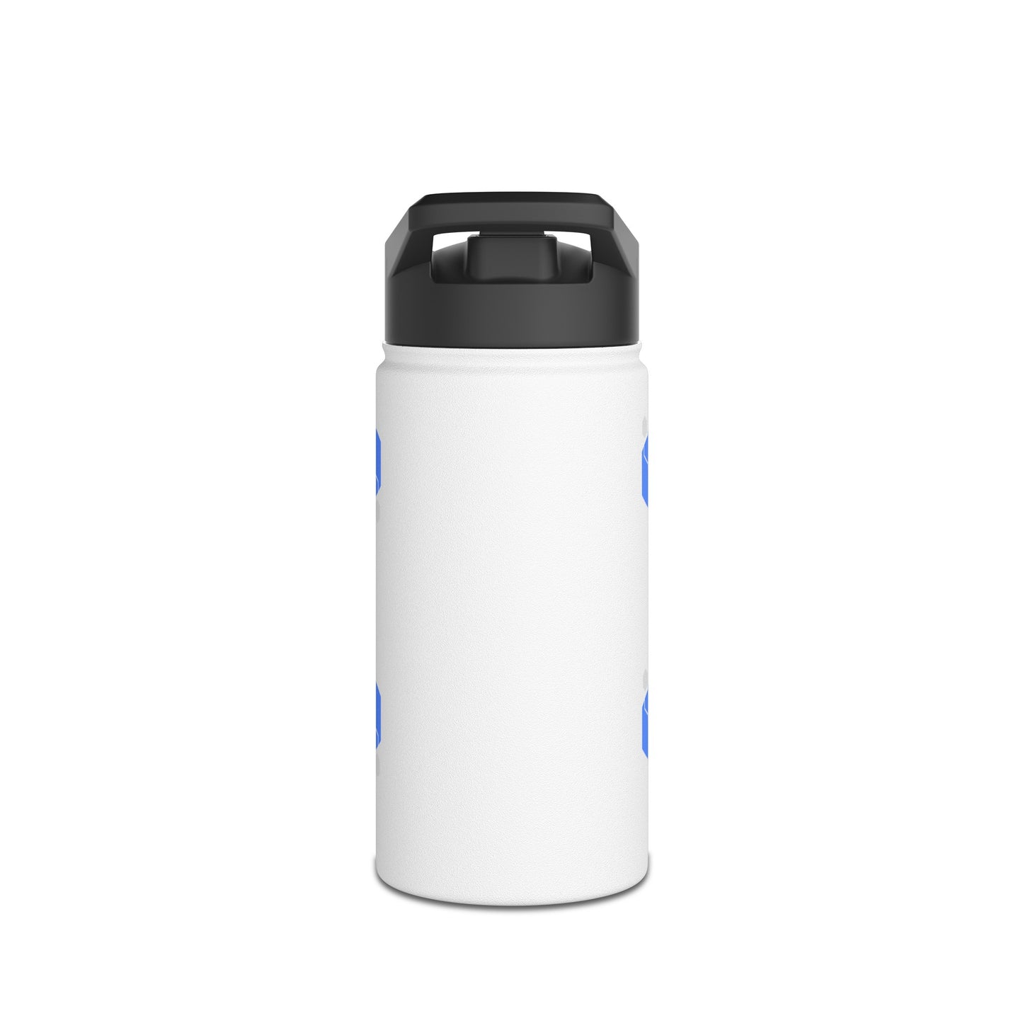 Modern Chicago Stainless Steel Water Bottle, Standard Lid