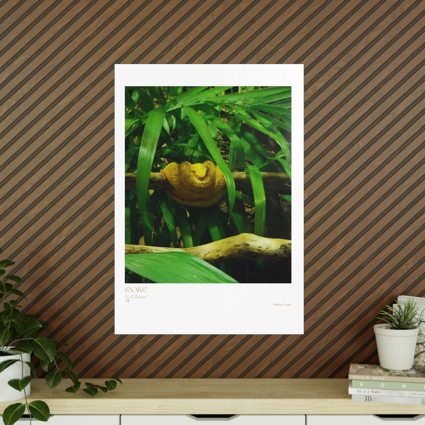 Snake Photograph Vertical Posters EU