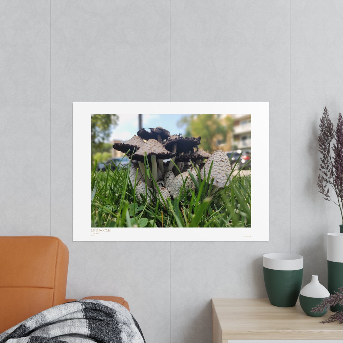 Mushrooms Matte Photograph Horizontal Posters EU