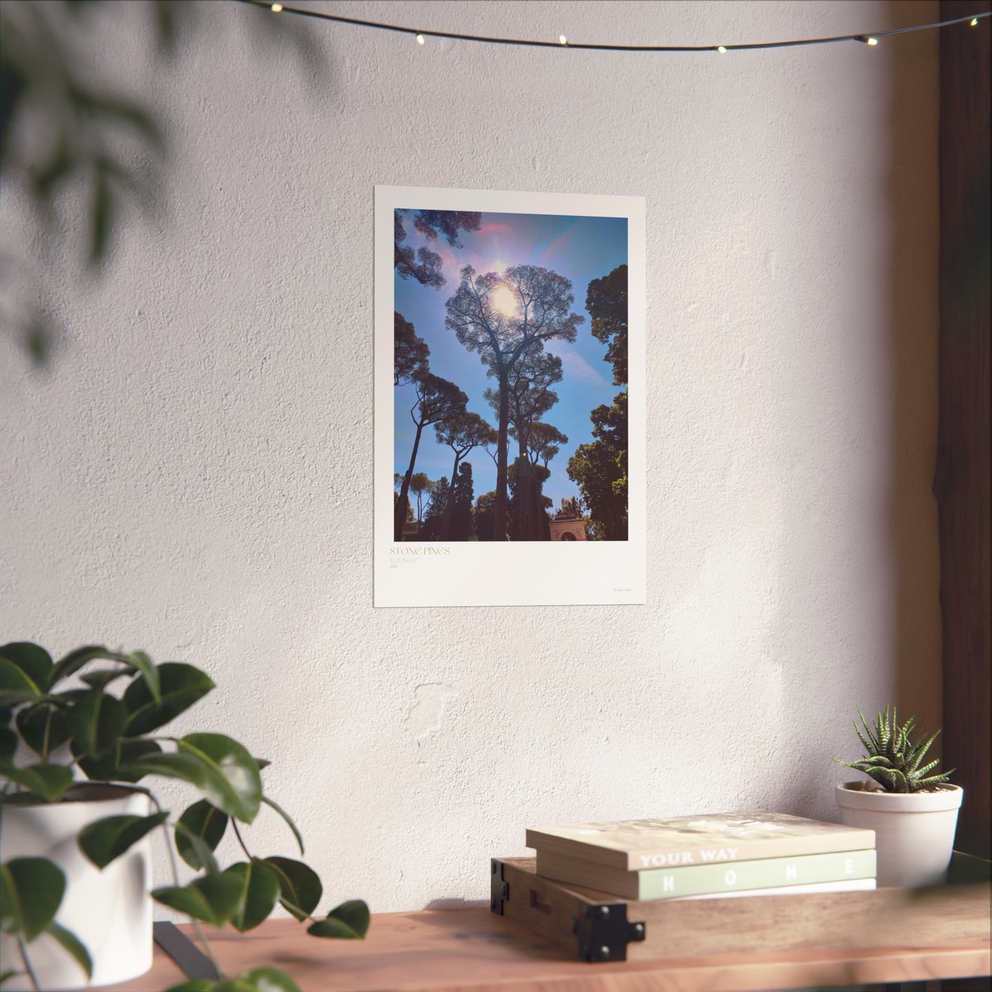 Carteles verticales con fotografías de pinos de piedra en Roma, Italia