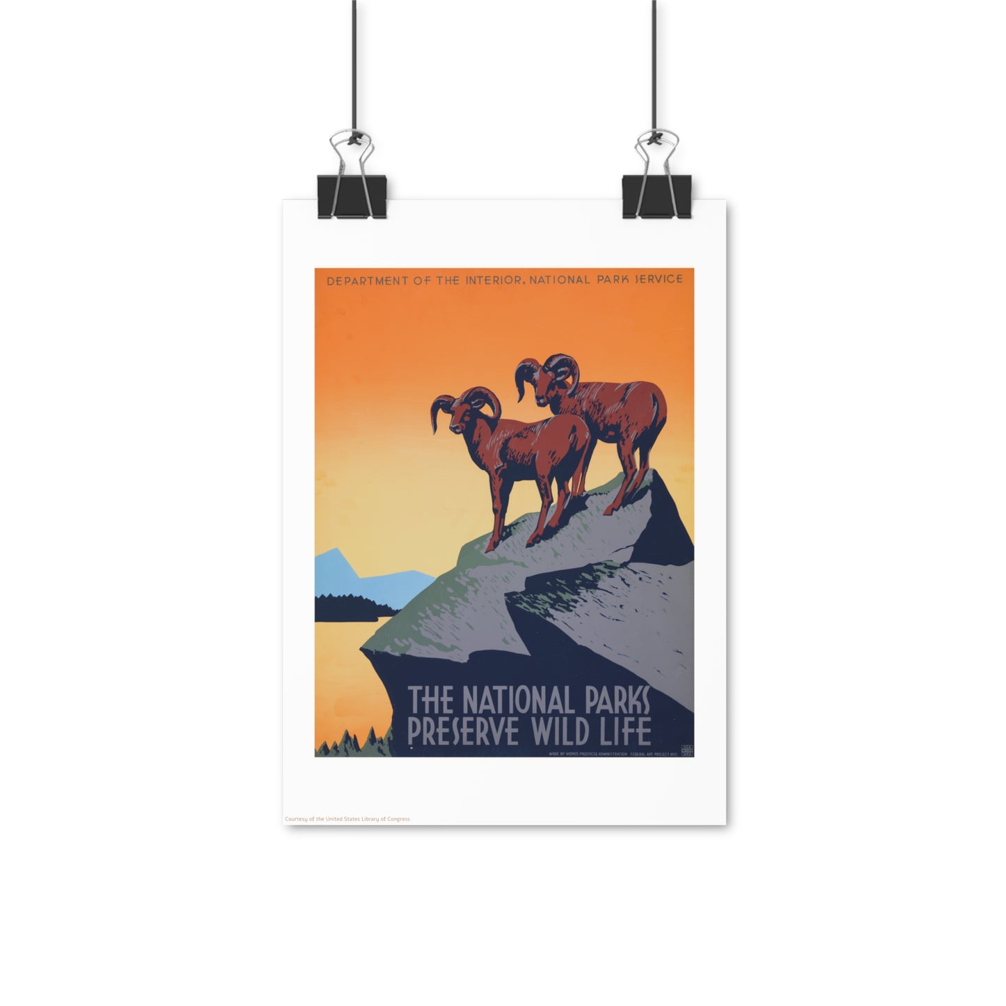 National Park Illustration Vertical Poster EU