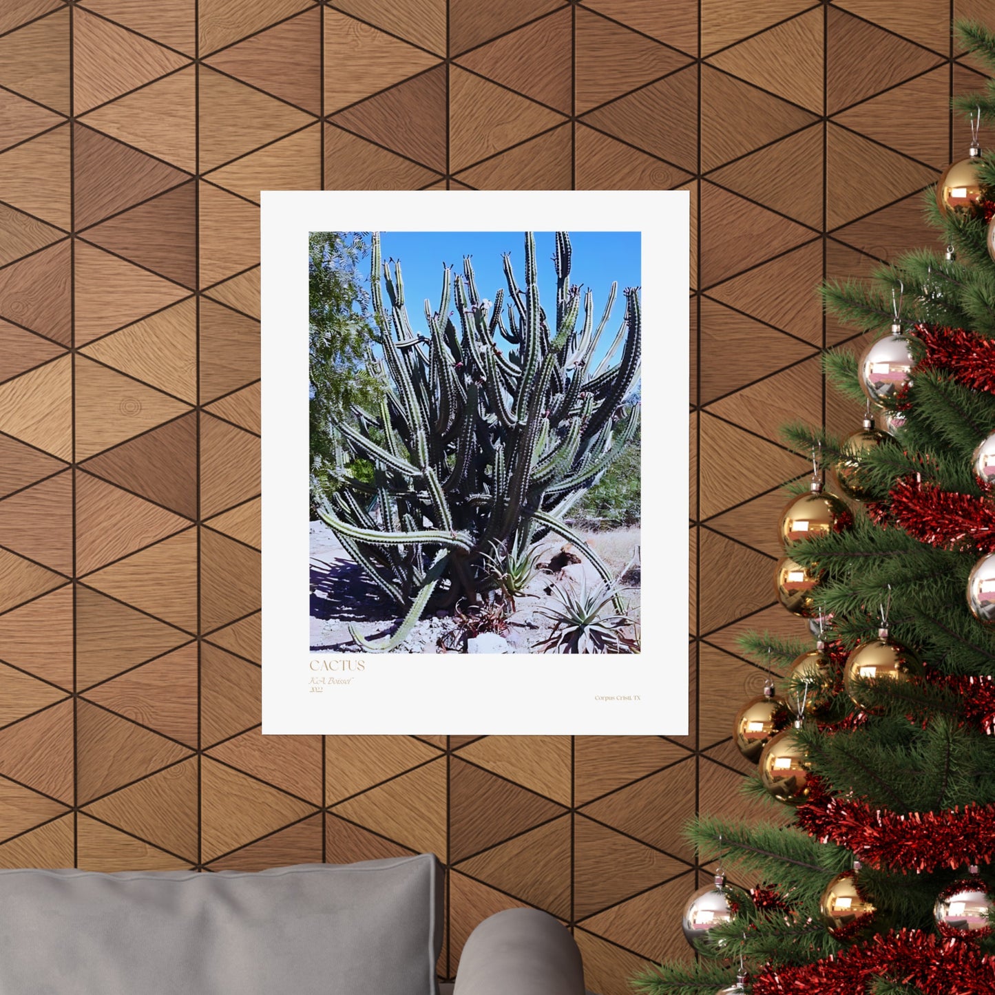 Pósteres verticales con fotografías de cactus