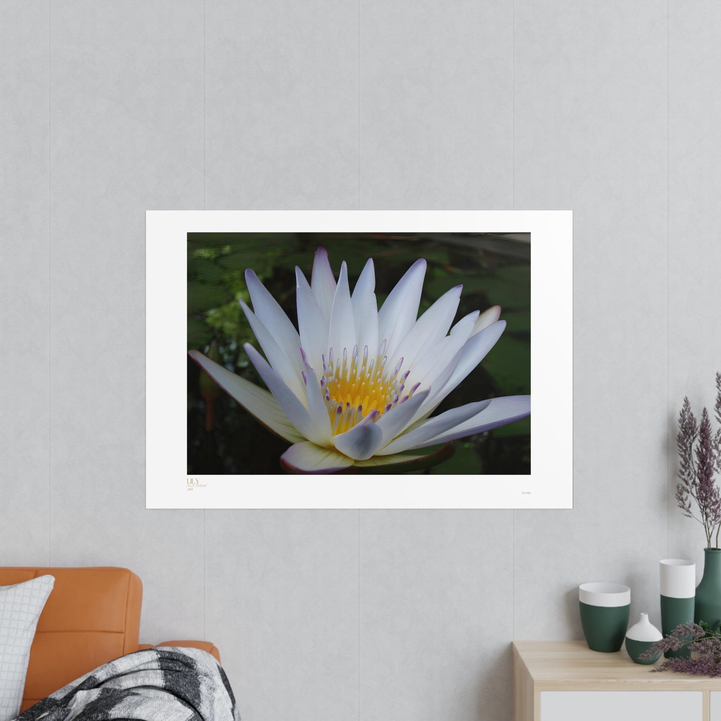 Lily Matte Photograph Horizontal Posters EU