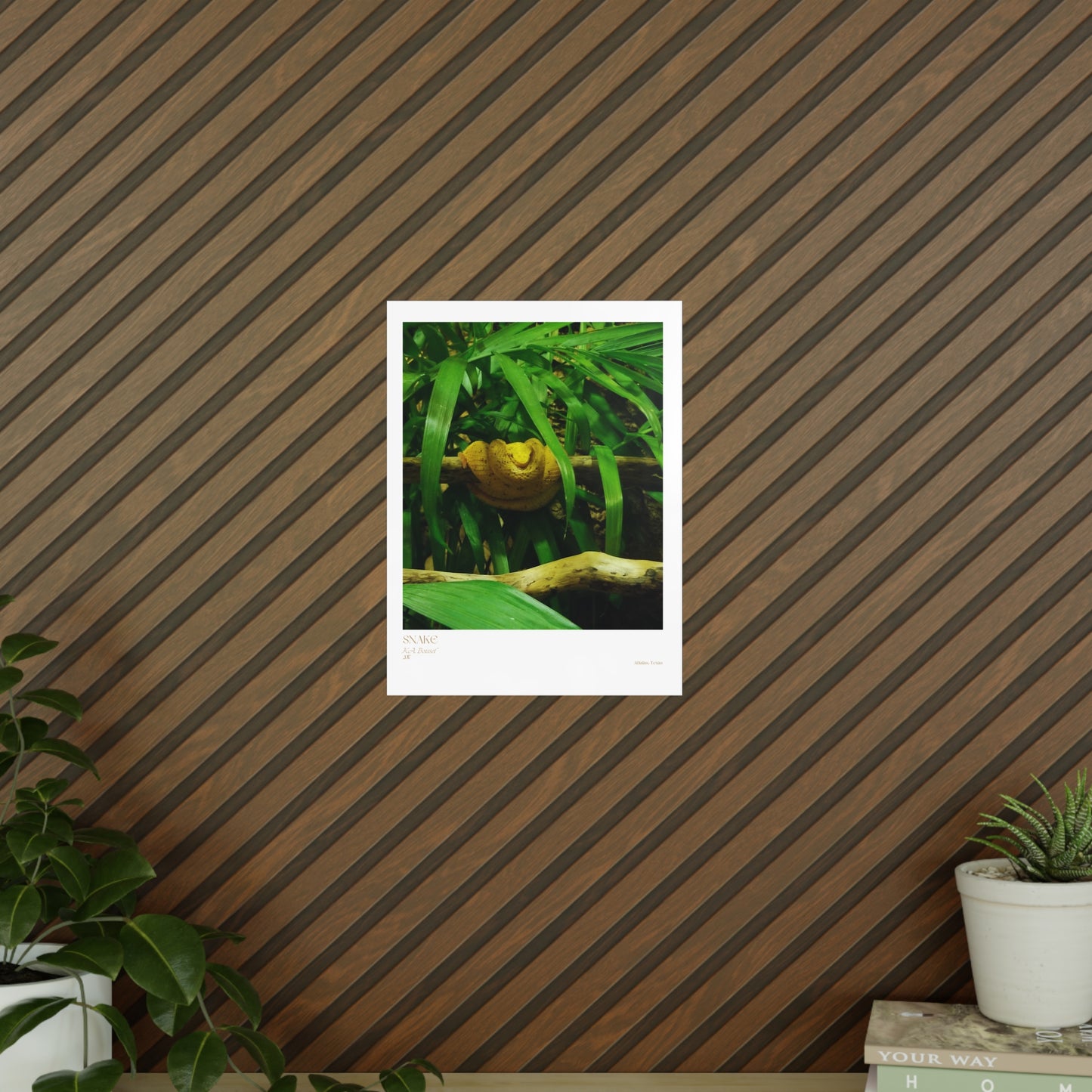 Snake Photograph Vertical Posters EU