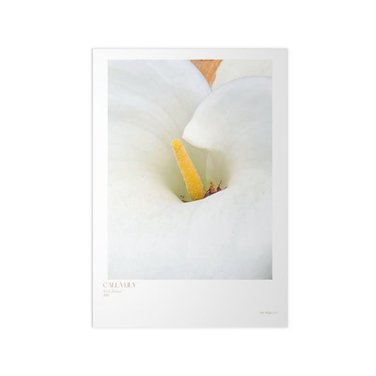 Calla Lily Photograph Vertical Posters EU