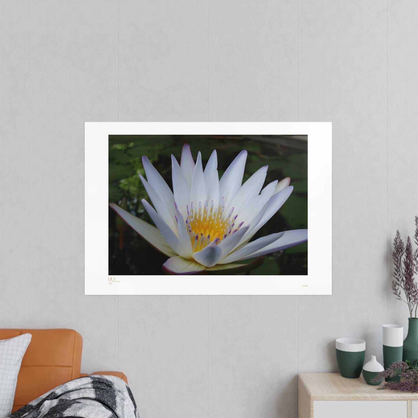 Lily Matte Photograph Horizontal Posters EU